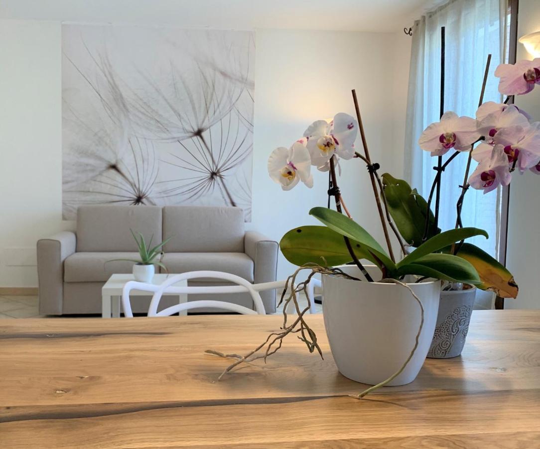 דירות ריבולטלה Casa Ulivi Bianco מראה חיצוני תמונה